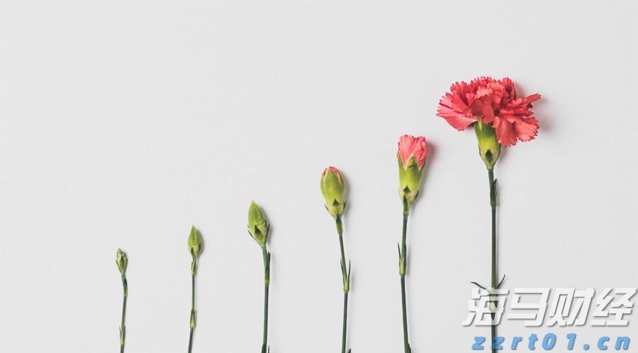 圣路易斯联储主席：通胀目标尚未达到，支持保持利率稳定