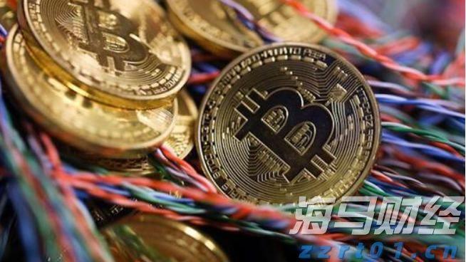 上半年武乐镇固定资产投资同比增长19.13%