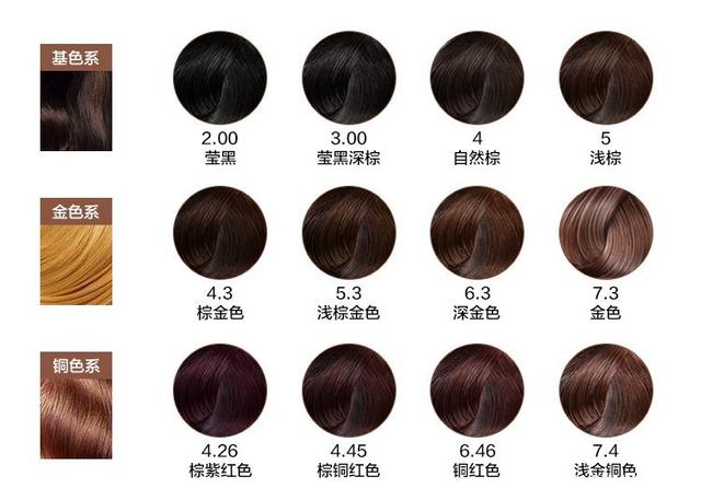 闽将陈露颖打破世界青年纪录